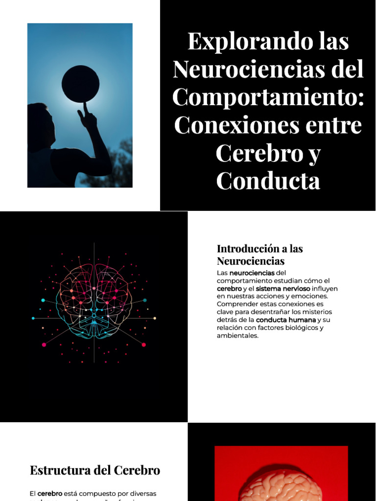 Neurociencias Aplicadas A Las Ciencias Del Comportamiento | PDF