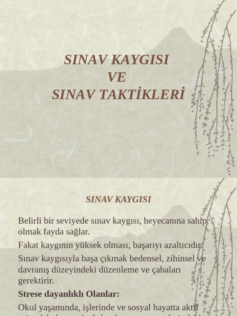 00000376 Sinav Kaygisi Ve Sinav Takti Kleri Pdf