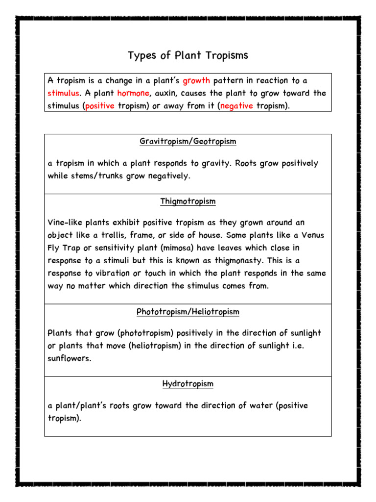 Types of Plant Tropisms InB Notes PDF