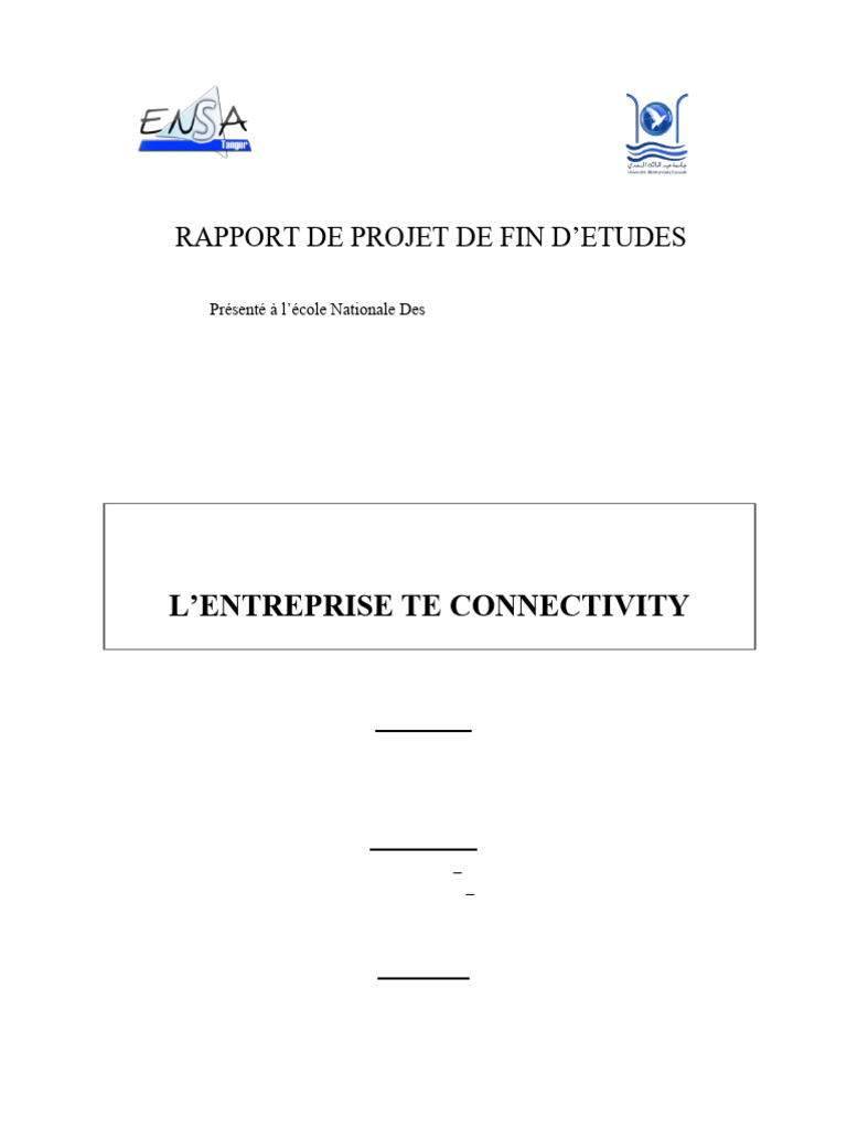 Rapport Pfe Hajar Ajjani | PDF