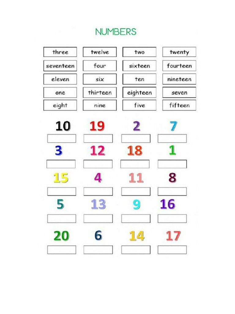 Numeros Del 10 Al 20 | PDF