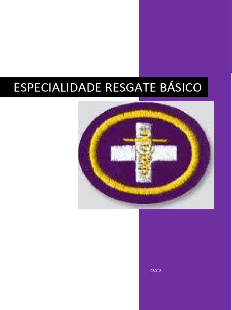 Técnicas de Resgate Básico | PDF