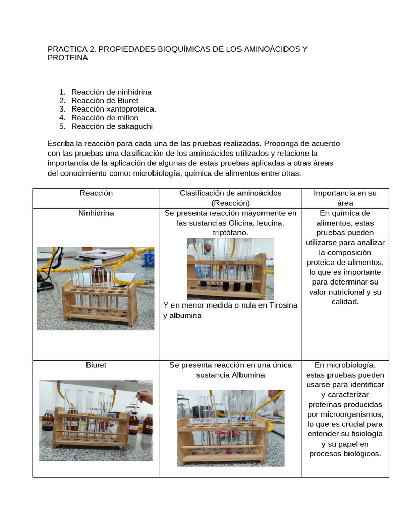 Practica 2 | PDF