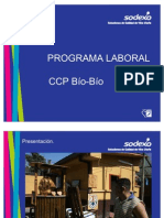 Programa Laboral Difusion VF