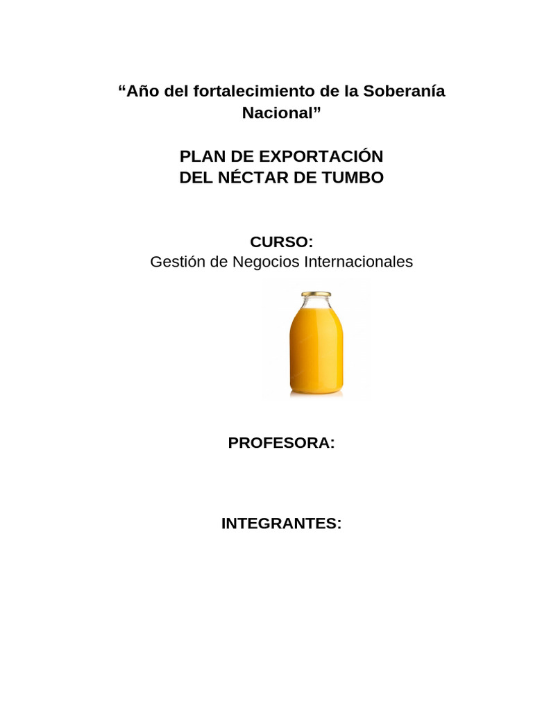 Plan de Exportación | PDF