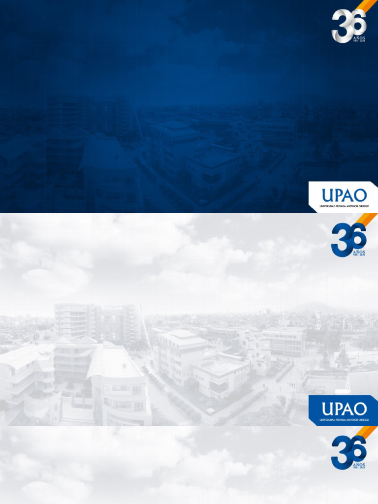 Plantilla 2024-UPAO | PDF