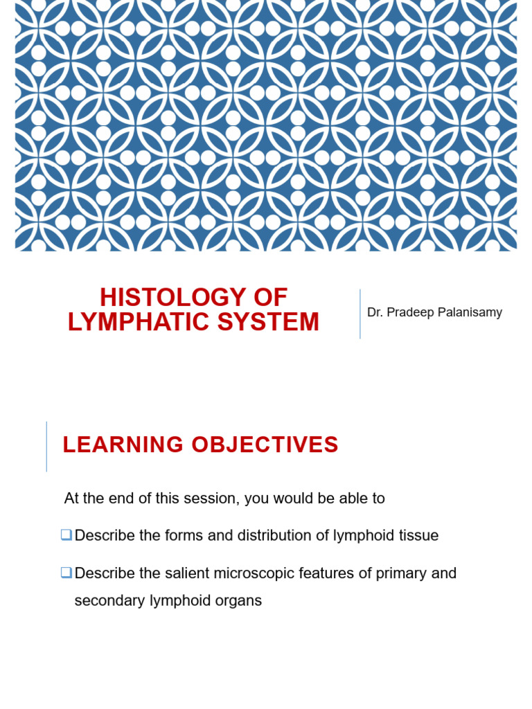 Histology of the Lymphatic System | PDF | Lymph Node | Lymphatic System