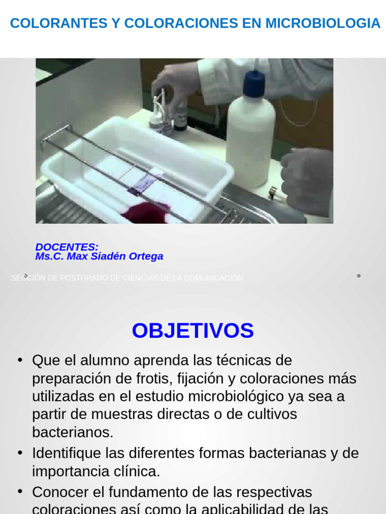 Sem 2 Coloraciones Práct | PDF