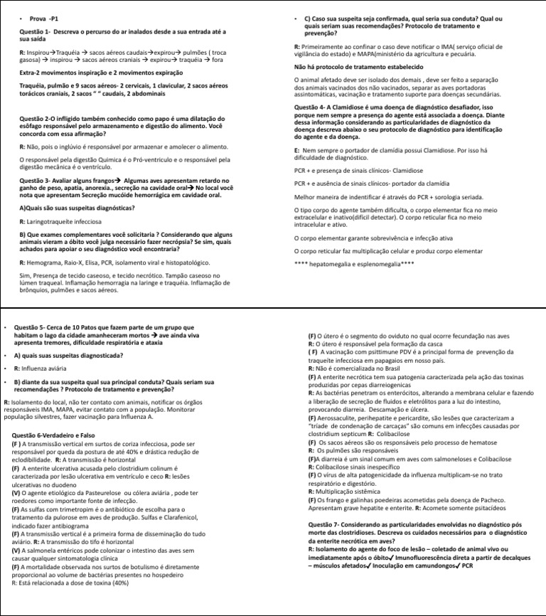 P1 | PDF