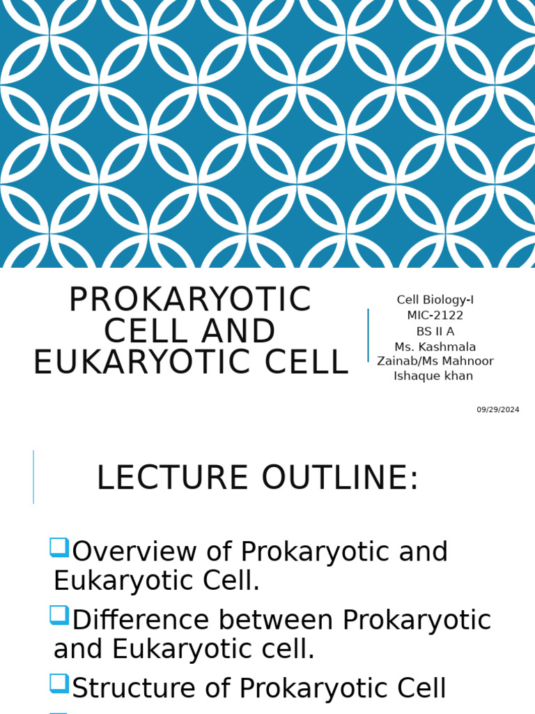 Lecture 02 (B) Prokaryotic and Eukaryotic Cells | PDF | Cell Membrane ...