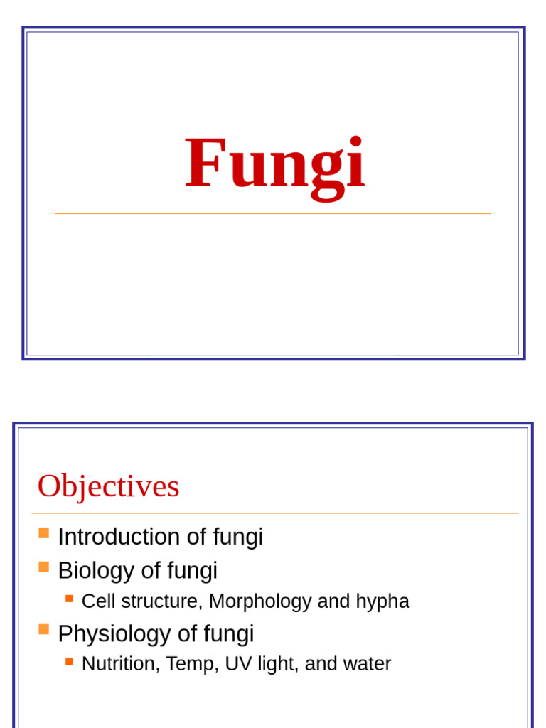 Fungi | PDF