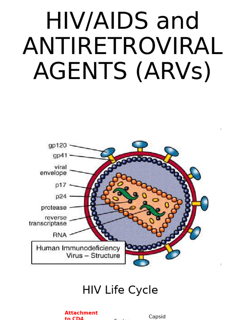 Hiv Aids | PDF