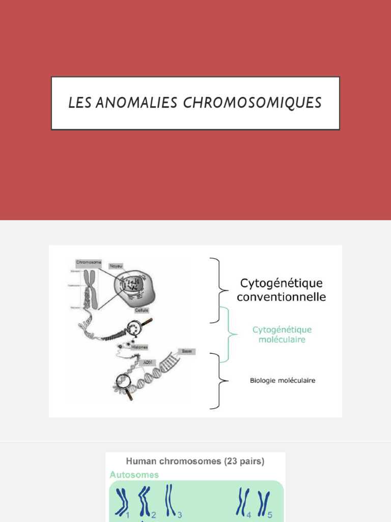 Introduction À La Cytogénétique | PDF
