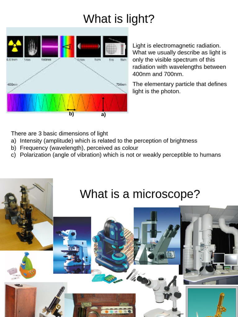 2nd Quarter 1st Half - Microscope | PDF
