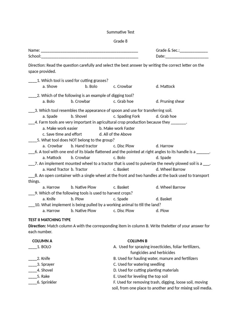 Summative Test | PDF