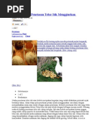 Download AnalisaBisnisPenetasanTelurItikMenggiurkanbyPiedFitriSN77426610 doc pdf