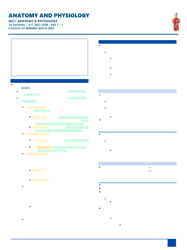 Anaphy Chapter 6 Pt 1 Pdf