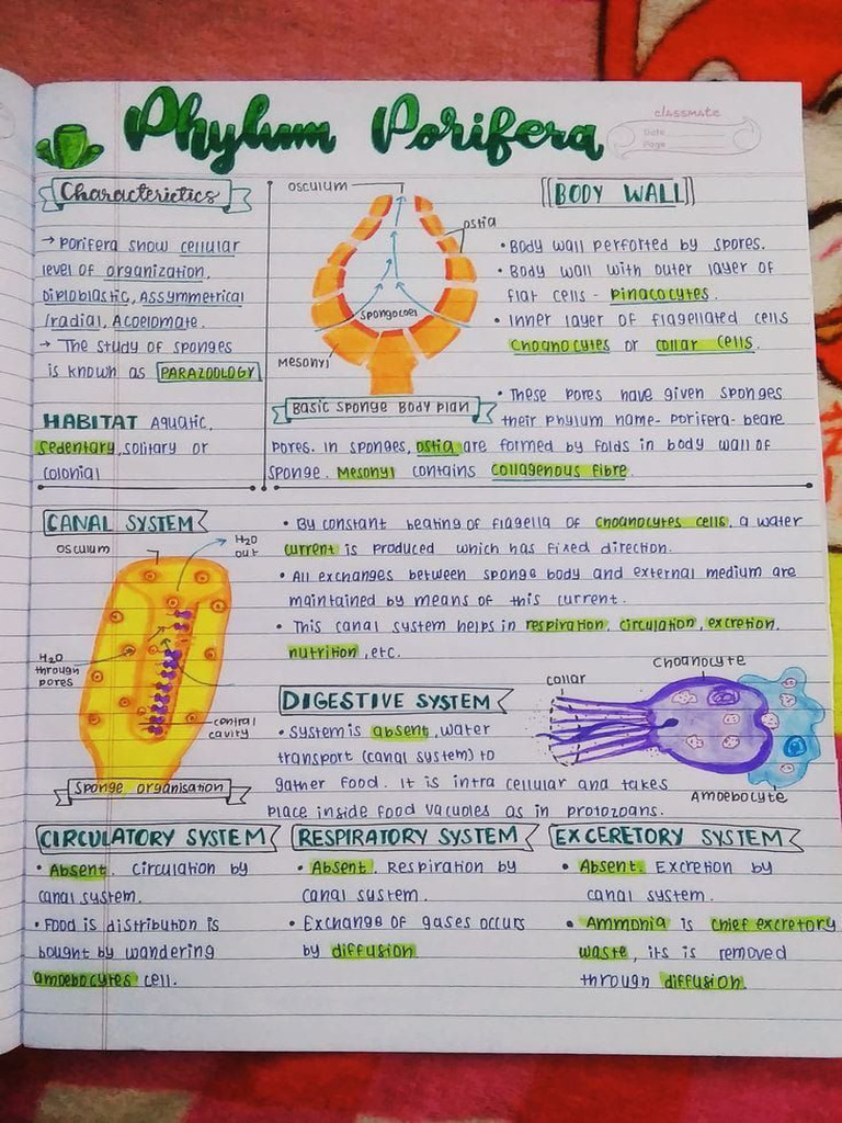 Biology Note 2 | PDF