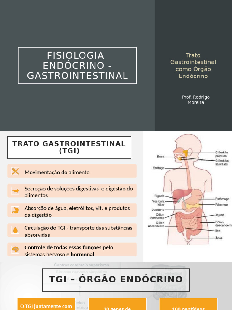 Aula 4 e 5 - TGI | PDF