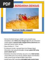 Download Materi Lembar Balik DBD Demam Berdarah Dengue by Mokhamad Suyono Yahya SN77432575 doc pdf