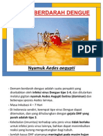 Materi Lembar Balik DBD (Demam Berdarah Dengue)