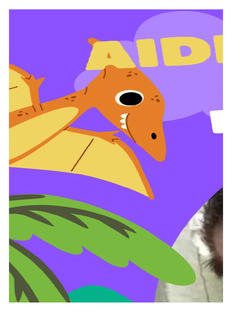Aidens Bday | PDF