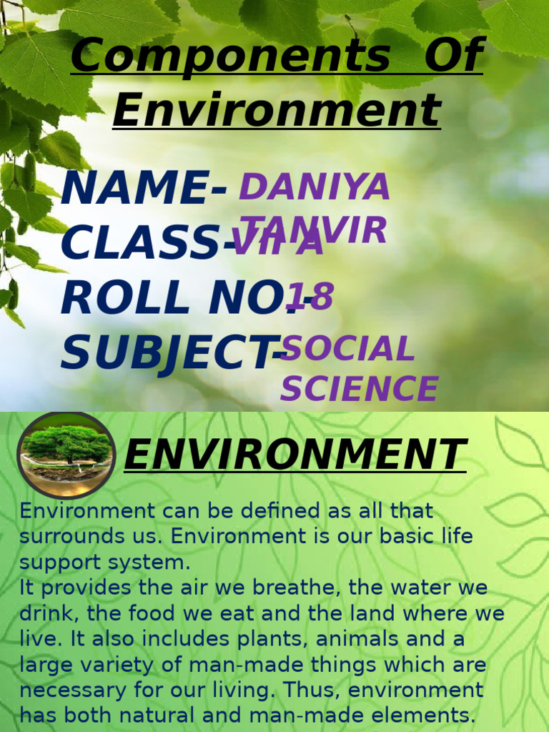 Daniya SST Project | PDF
