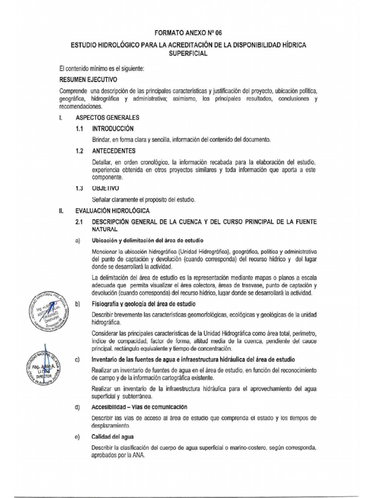 Formato Anexo 06 | PDF