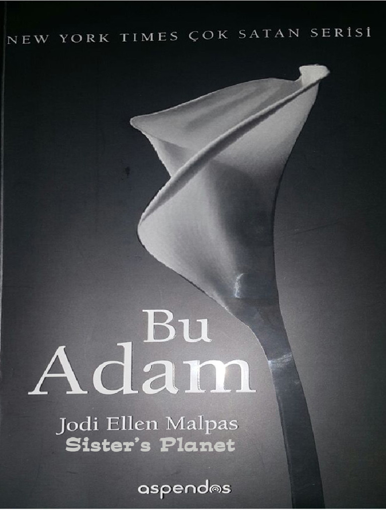 Ahbap kabaca sarışını sağlıklı gövdesiyle tüm pozlarda becerdi