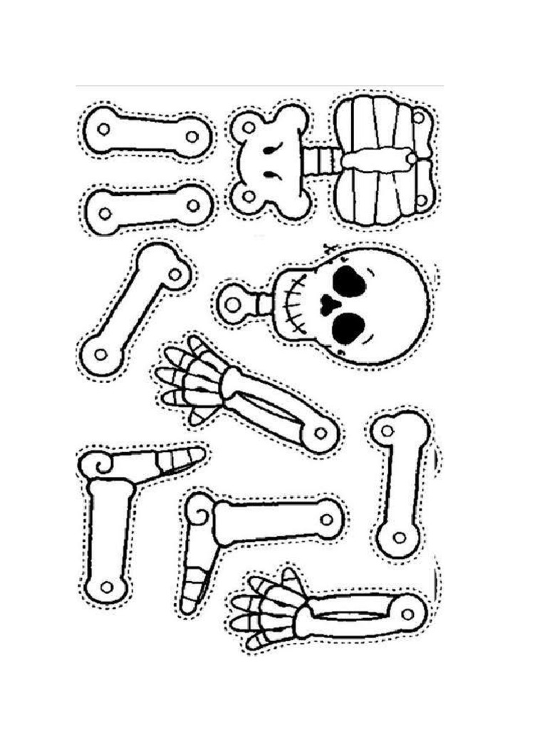 Aparato locomotor pdf