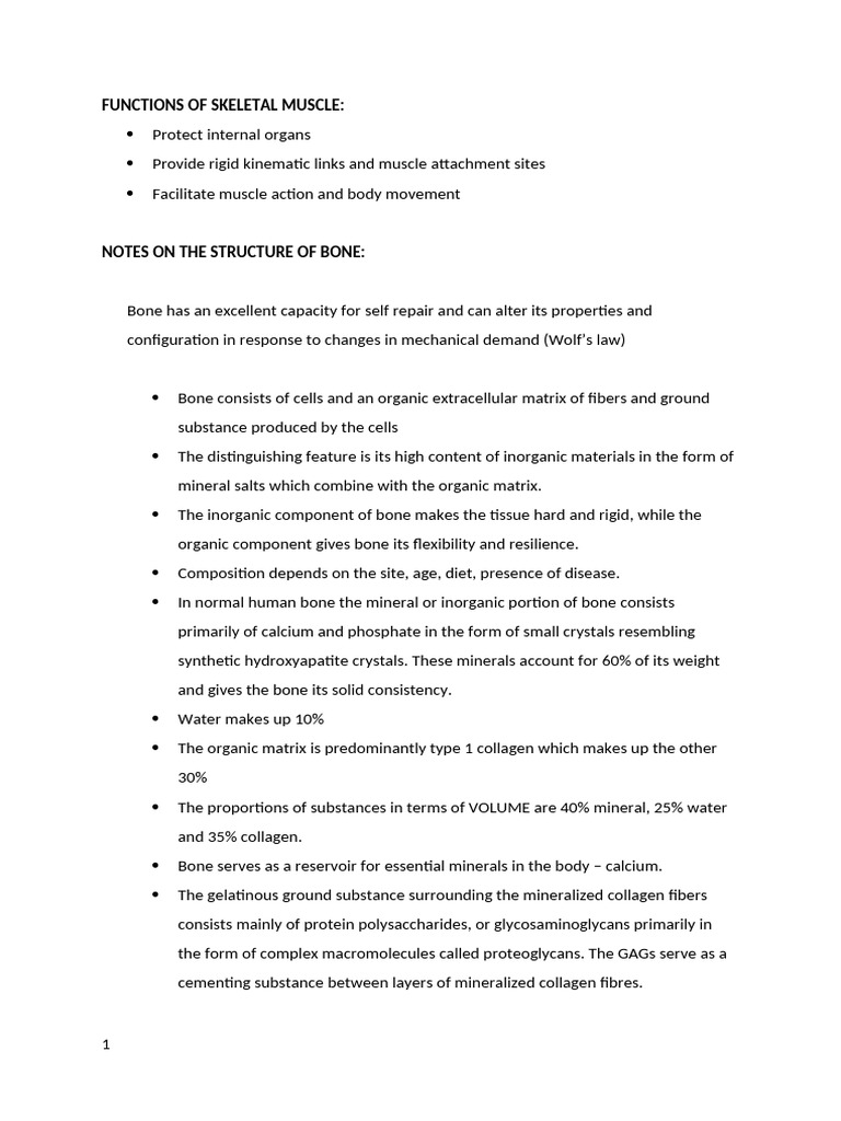 Biomechanics of Bone - My Notes | PDF | Bone | Deformation (Engineering)