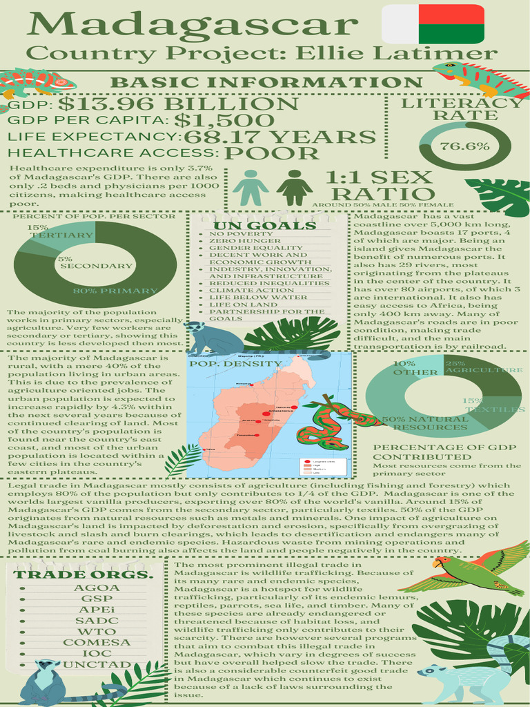 Green Monochrome Note-Taking Productivity Process Infographic | PDF