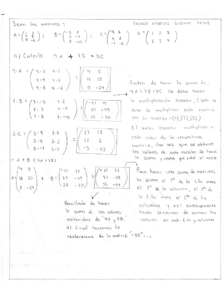 Matrices (Basico) | PDF