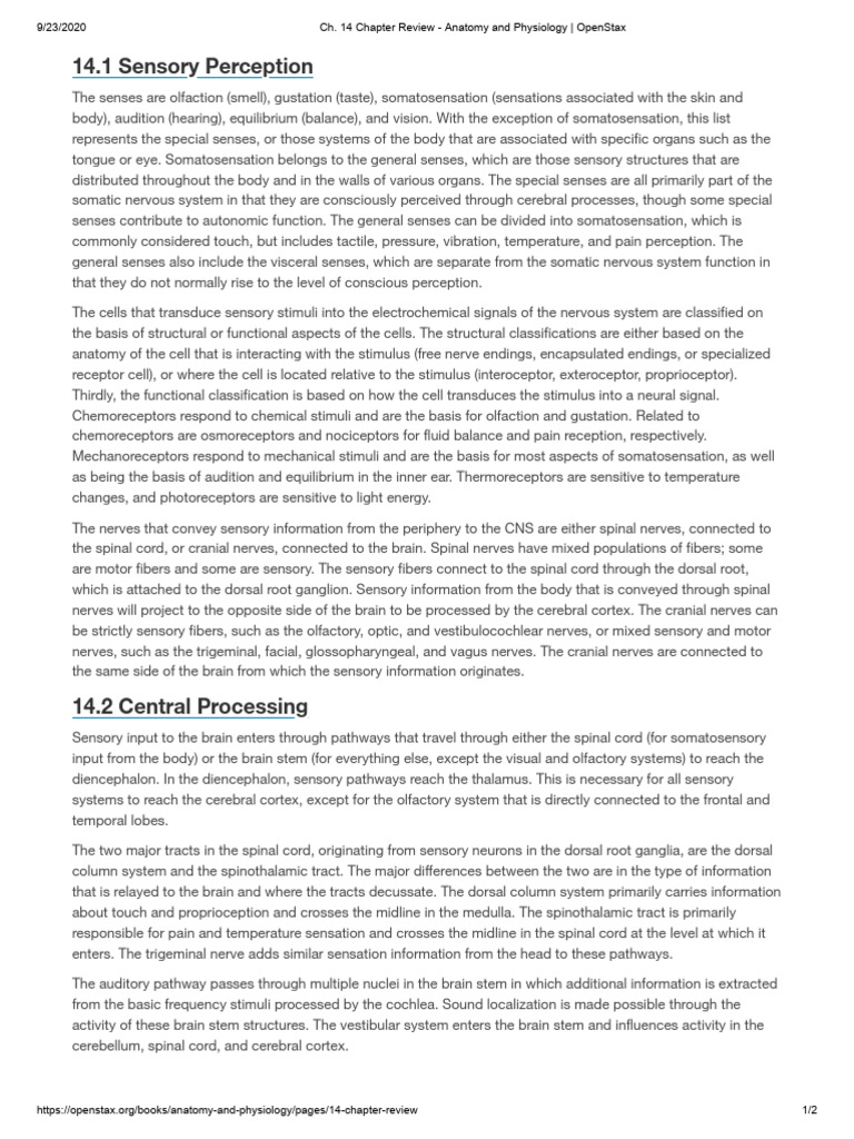 CHAPTER 4 REVIEW ANATOMY AND PHYSIOLOGY visual data 7