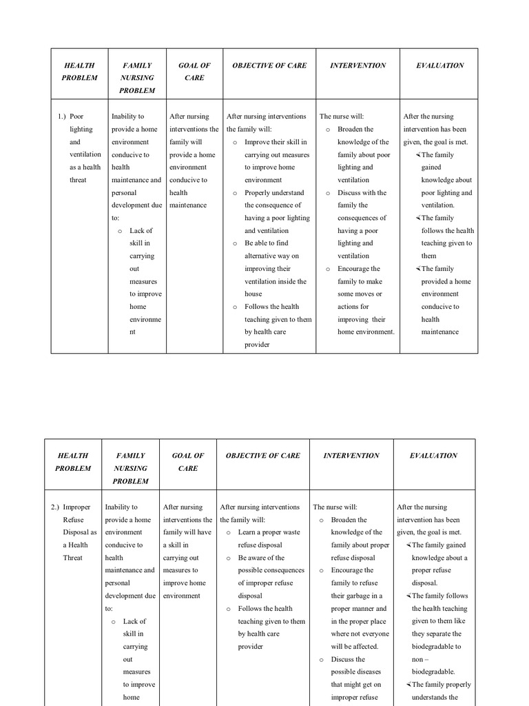 Nursing care plan health care public health