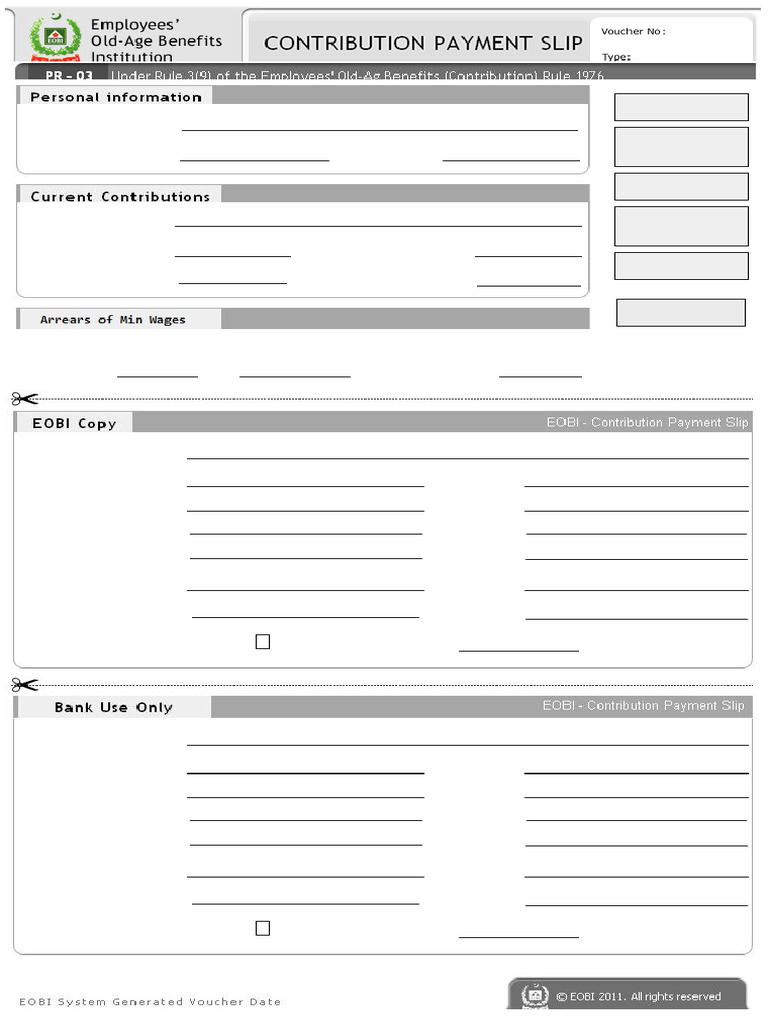 Voucher EOBI Aug 2024 | PDF