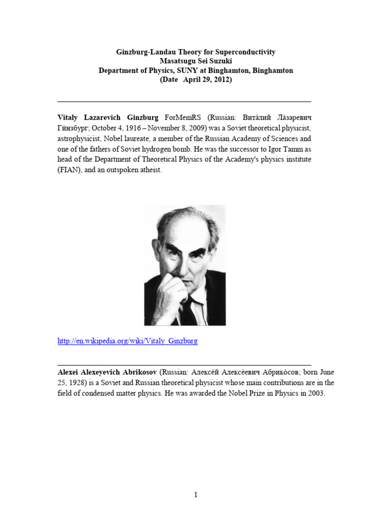25-2 Ginzburg Landau Equation | PDF