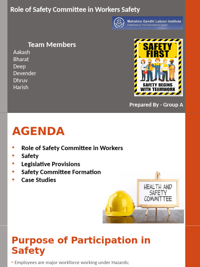 Safety Committee | PDF