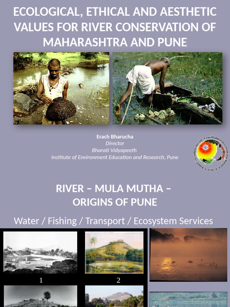 River Conservation in Maharashtra: Values & Management | PDF