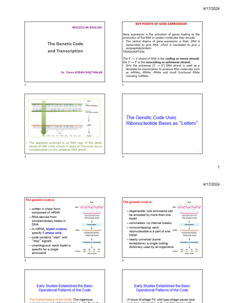 Transcription | PDF