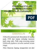 Giberrelin