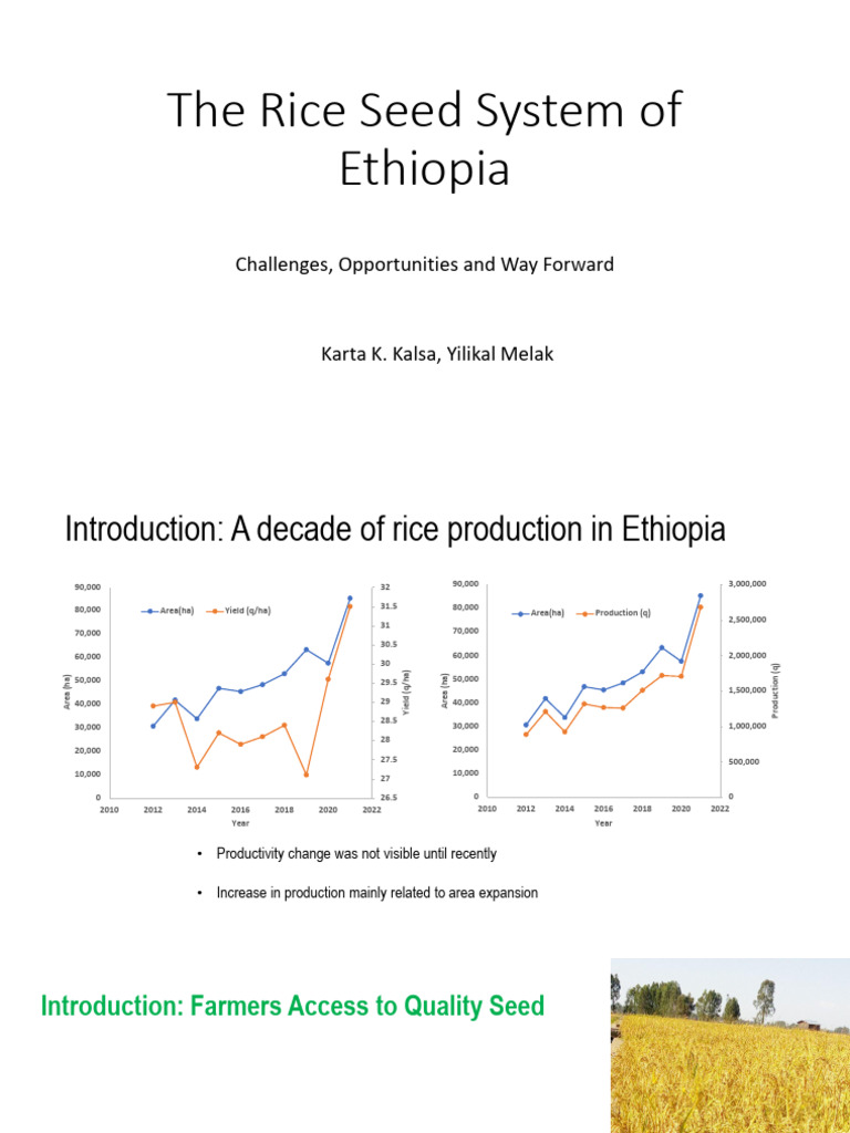 The Rice Seed System of Ethiopia-1 | PDF