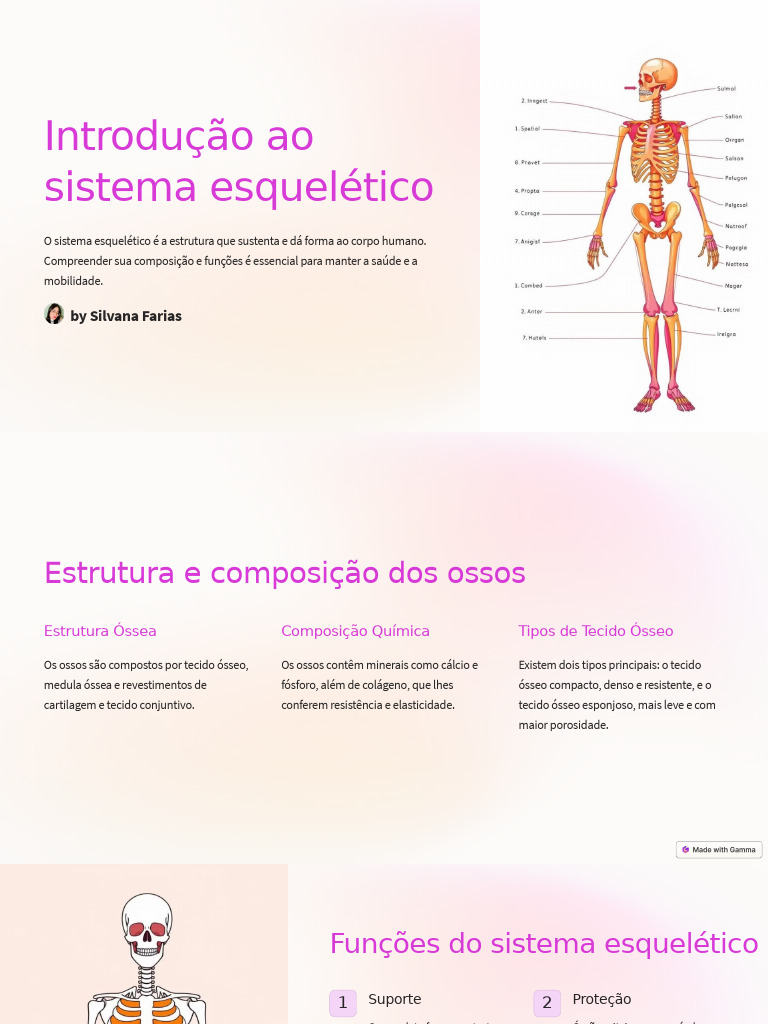 Introducao Ao Sistema Esqueletico Pdf