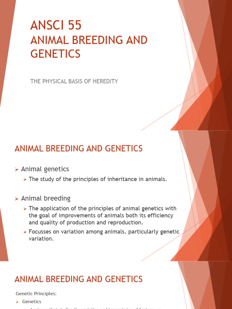 Animal Breeding & Genetics Guide | PDF | Dominance (Genetics) | Genetics