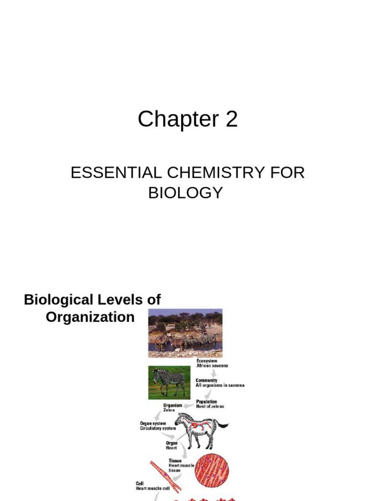 Chapter+2+ BioI+MM | PDF