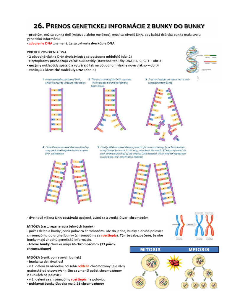 15 - Prenos GI Z Bunky Do Bunky | PDF