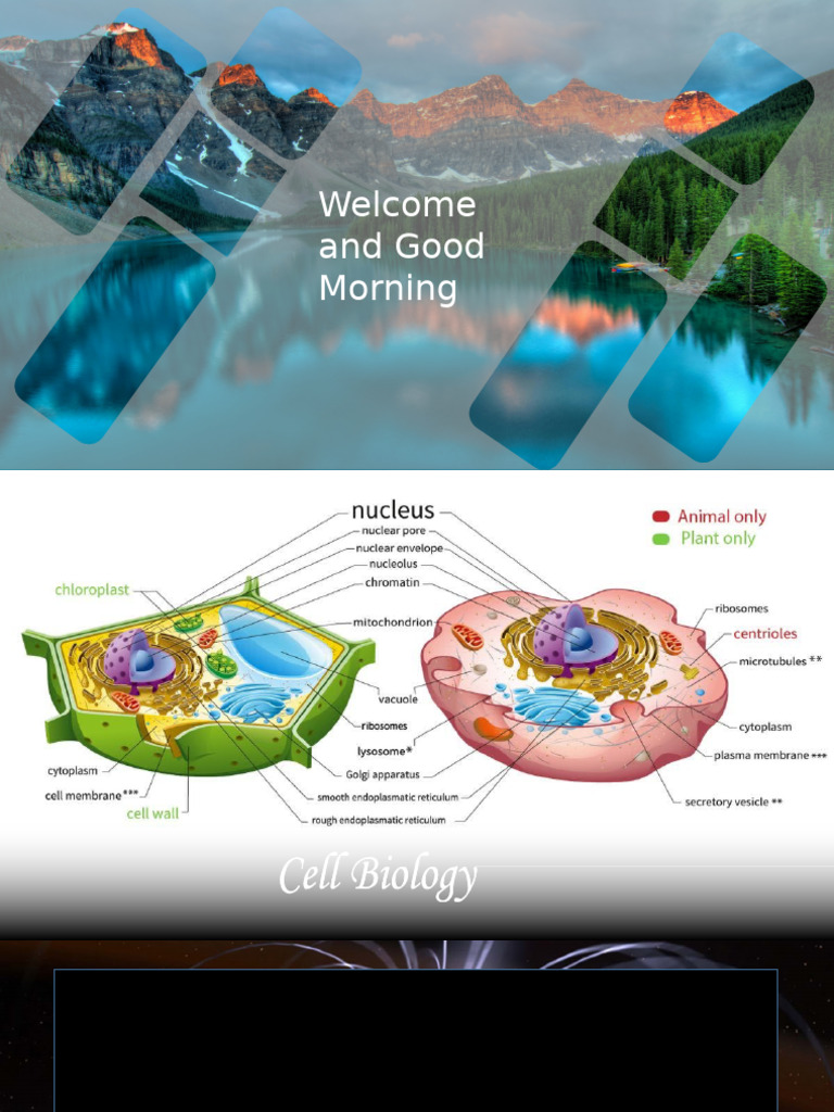 Cell Presentaion | PDF | Cell (Biology) | Eukaryotes
