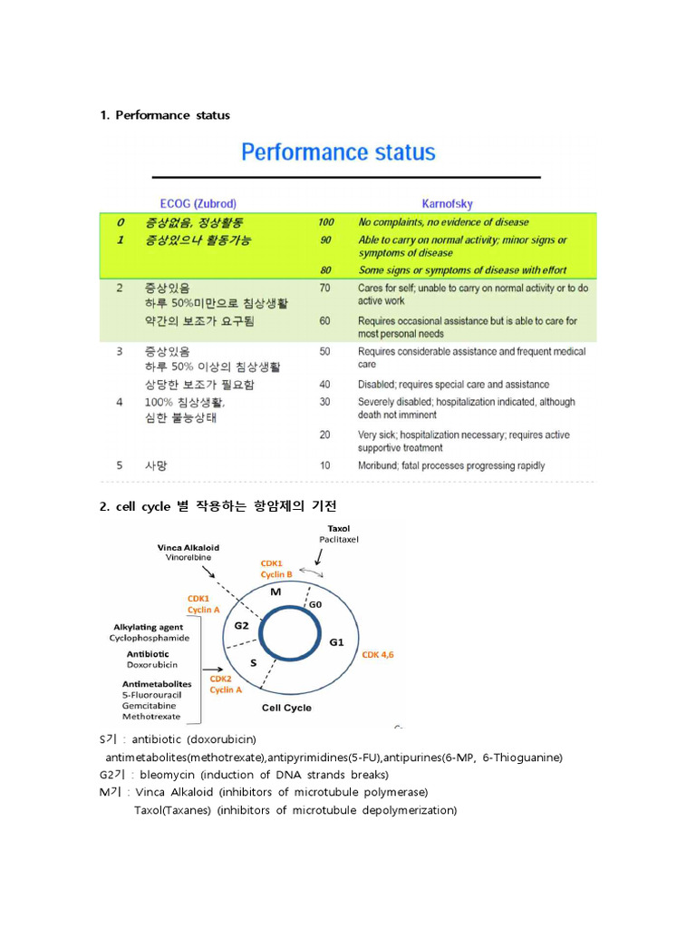 C3 종양 시험 | PDF