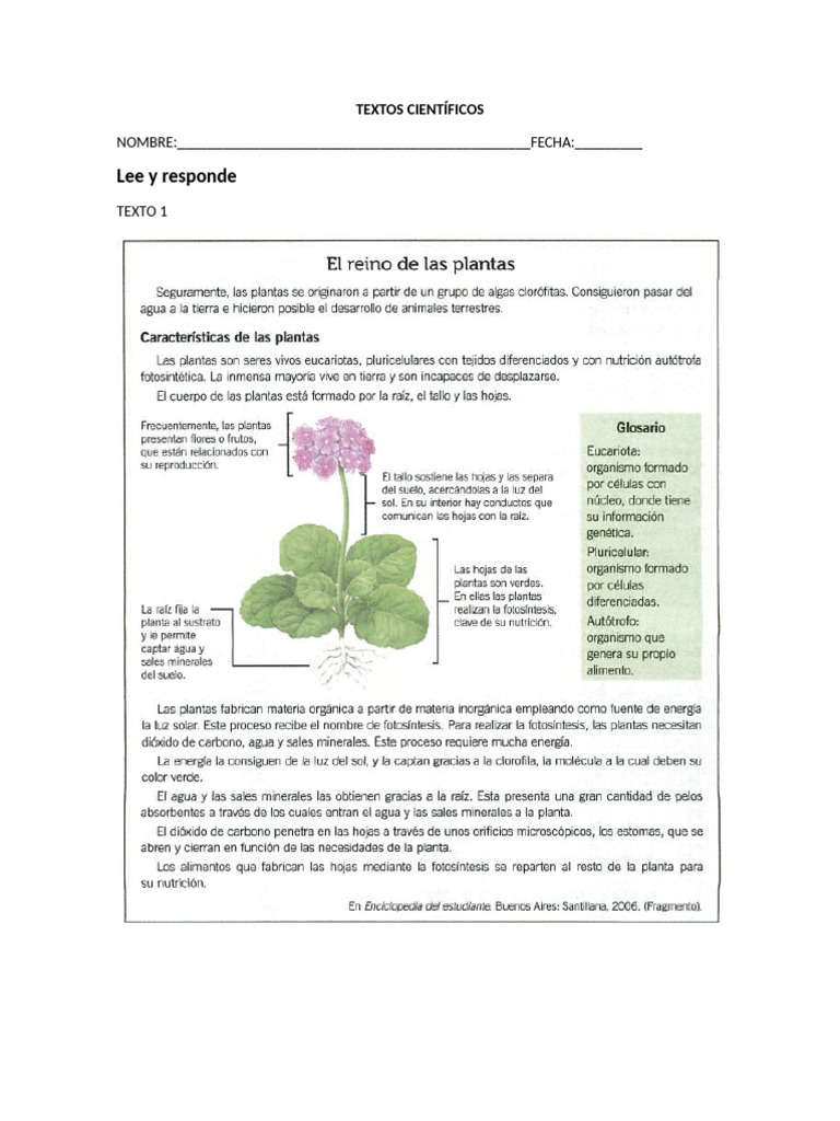 Exemplos De Textos Cientificos/ejemplo De Texto Especializado