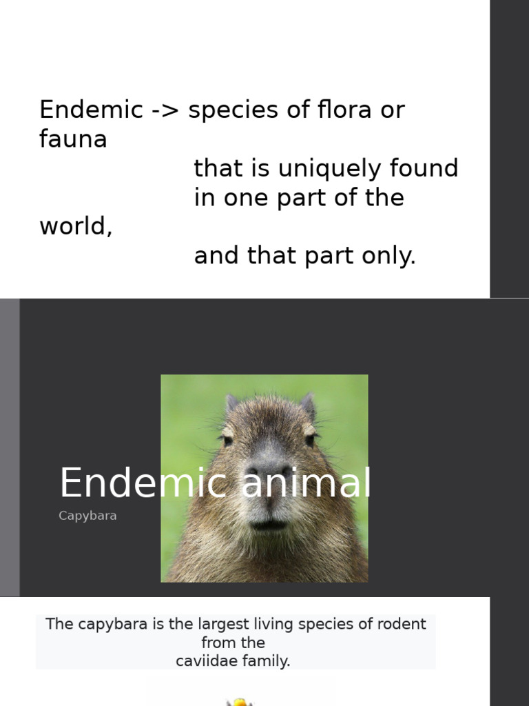 Endemic Animal | PDF